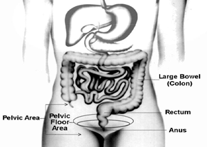 Dyssynergic Defecation: حول سبب مشترك للإمساك المزمن