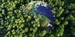 SPACE LASER AI MAPS Forest Carbon في دقائق-تغيير في اللعبة لعلوم المناخ