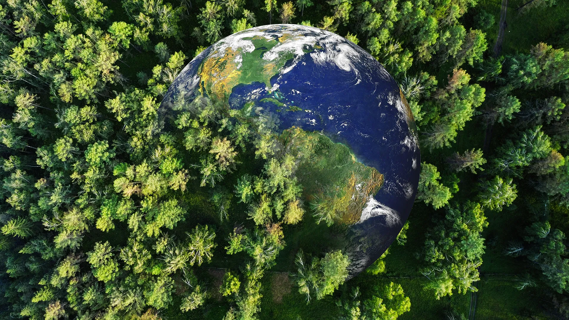 SPACE LASER AI MAPS Forest Carbon في دقائق-تغيير في اللعبة لعلوم المناخ