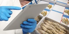 Superbugs في الروبيان الخاص بك: جينات مقاومة الكوليستين المميتة ركوب على المأكولات البحرية المستوردة