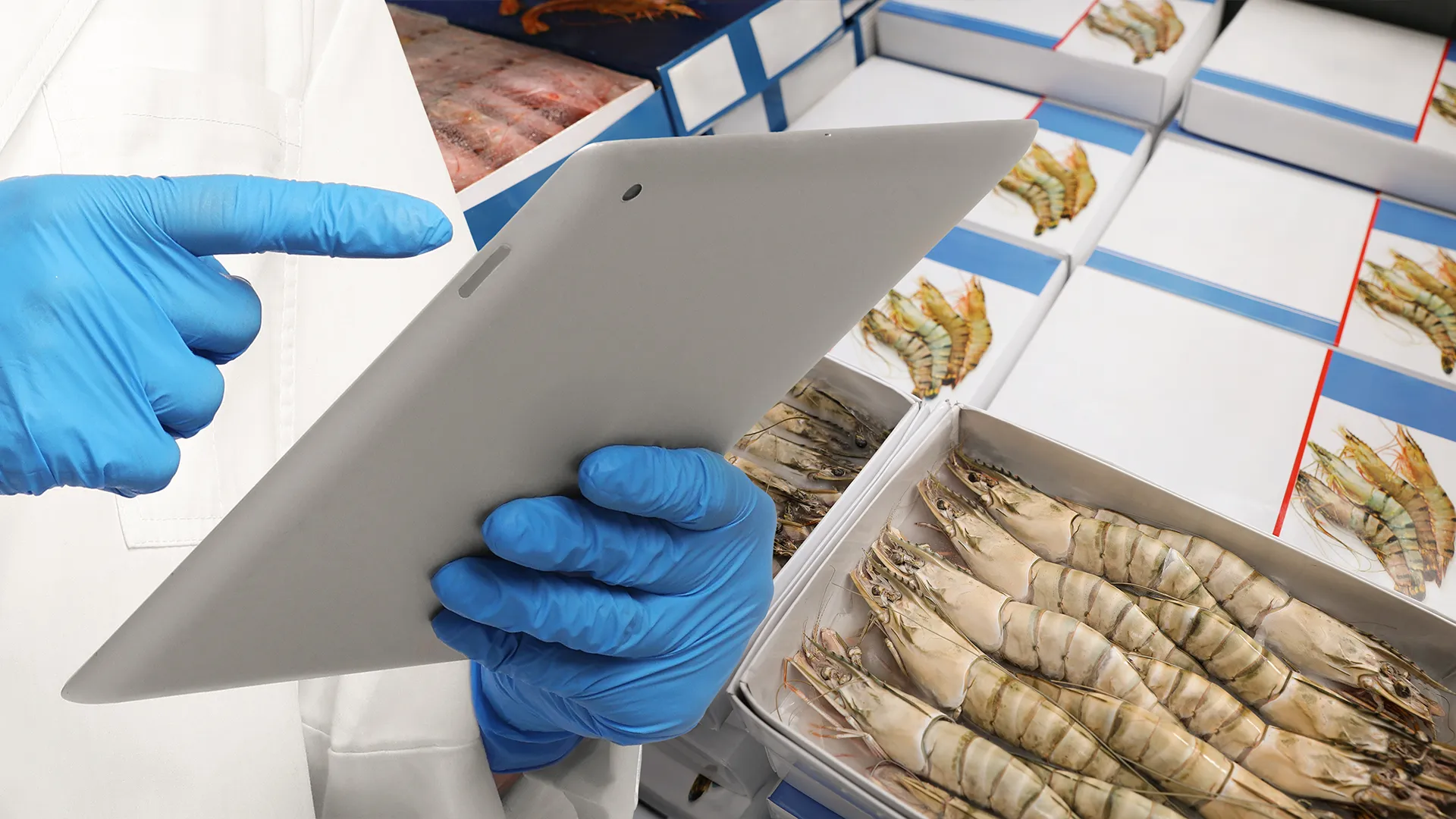 Superbugs في الروبيان الخاص بك: جينات مقاومة الكوليستين المميتة ركوب على المأكولات البحرية المستوردة