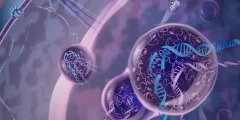 نظام إصلاح الحمض النووي المخفي الذي يمكن أن يحول علاج السرطان