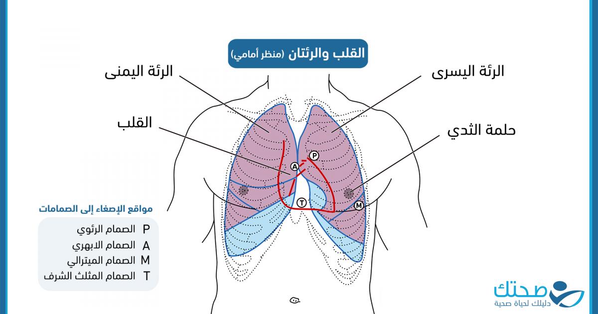 كيف نفرق بين ألم القلب وألم عضلات الصدر؟