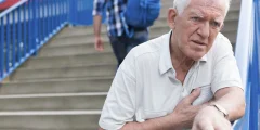 يذوب الدهون – ولكن هذا يفعل العضلات: ما يحتاجه المستخدمون العظمى إلى معرفته