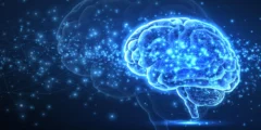 يقوم البروتين الصغير بتفكيك المجموعات السامة وراء الزهايمر