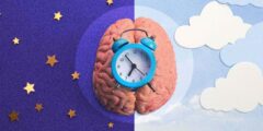 ما هو نومي chronotype؟