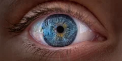 يقول العلماء إن عيناك يمكن أن تكشف مدى سرعة تقدمك في السن