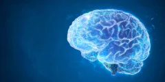أدت عملية تنظيف مفاجئة للدماغ إلى تقليل نوبات الصرع واستعادة الذاكرة