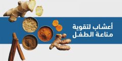 أعشاب لتقوية مناعة الطفل: متى وكيف تستخدم؟