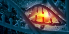 يُظهر العلاج التجريبي للحمض النووي الريبوزي (RNA) قوة مذهلة في إصلاح الحمض النووي