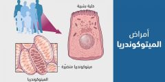 أمراض المايتوكندريا: الأسباب والأعراض والعلاج