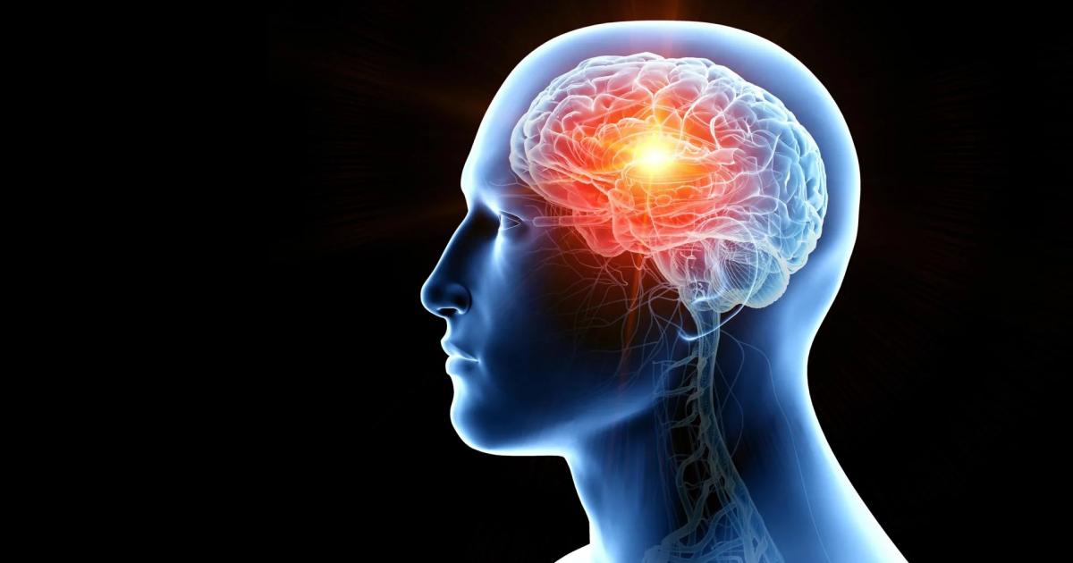ماذا يفعل الألم بدماغك وكيف تتبع عادات صحية تحافظ على شباب الدماغ