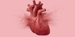 وأوضح أخيرا: لماذا مرض الكلى مميت جدا للقلب