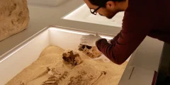 الحمض النووي القديم يحل لغزًا عمره 12000 عام لاضطراب النمو الوراثي النادر