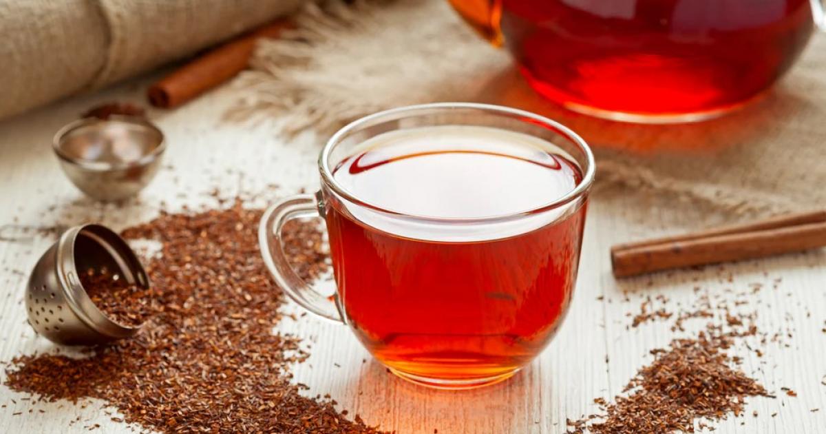 فوائد شاي الرويبوس وهل له أضرار سلبية؟