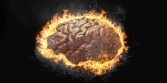قد يكون التهاب الدماغ هو الدافع وراء السلوك القهري