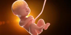 يتعرض الأطفال إلى قدر أكبر بكثير من “المواد الكيميائية الأبدية” قبل الولادة مما كان يعتقده العلماء