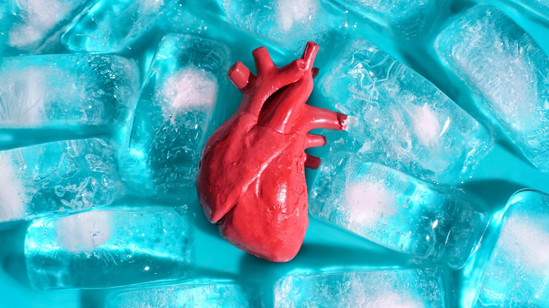 اكتشف العلماء كيفية تجميد الأعضاء المزروعة دون تكسيرها