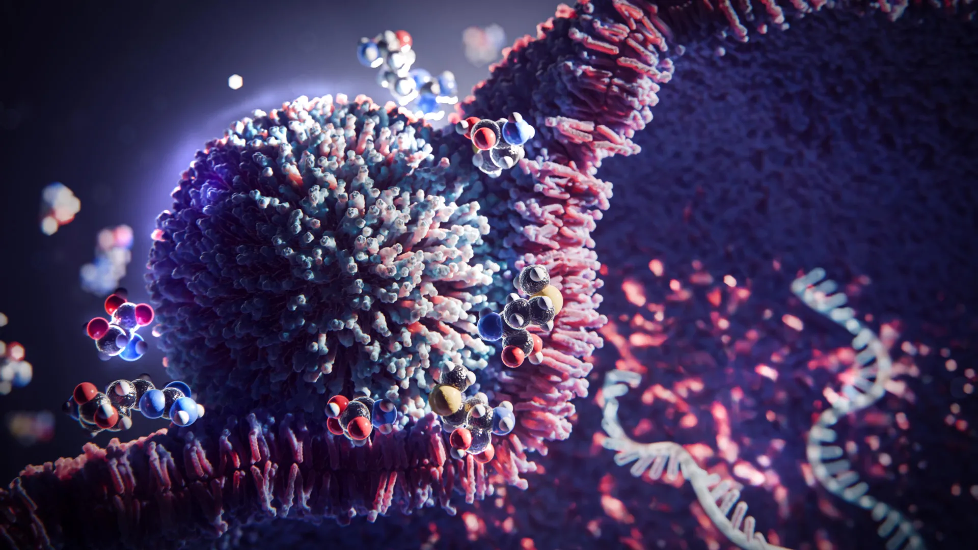 تعمل هذه الخدعة البسيطة المكونة من 3 أحماض أمينية على تعزيز علاج mRNA بمقدار 20 ضعفًا