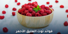 فوائد توت العليق الأحمر: كنز غذائي للقلب والدماغ