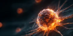 اكتشف العلماء أن فيتامين ب2 قد يساعد الخلايا السرطانية على البقاء