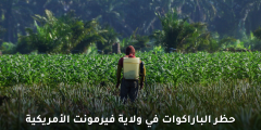أول ولاية أمريكية تتخذ قرار حظر الباراكوات فما هو السبب؟