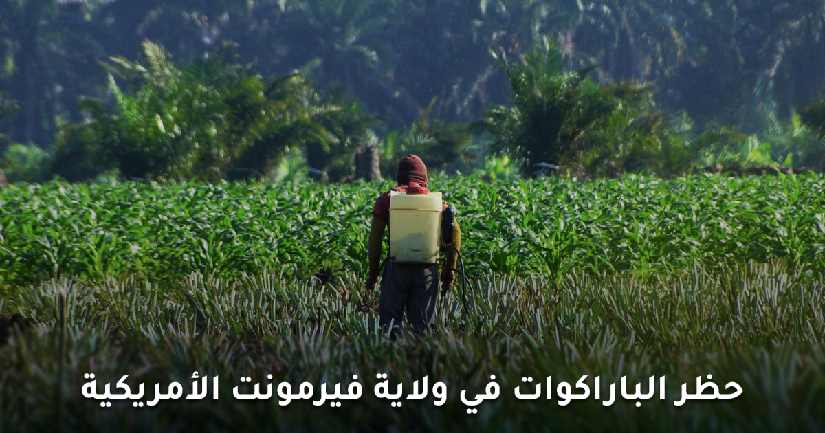 أول ولاية أمريكية تتخذ قرار حظر الباراكوات فما هو السبب؟
