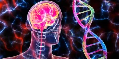 اكتشف العلماء ارتباطًا مفاجئًا بين السرطان ومرض الزهايمر
