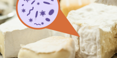 تلوث الجبن ببكتيريا الليستيريا يسبب حالة وفاة