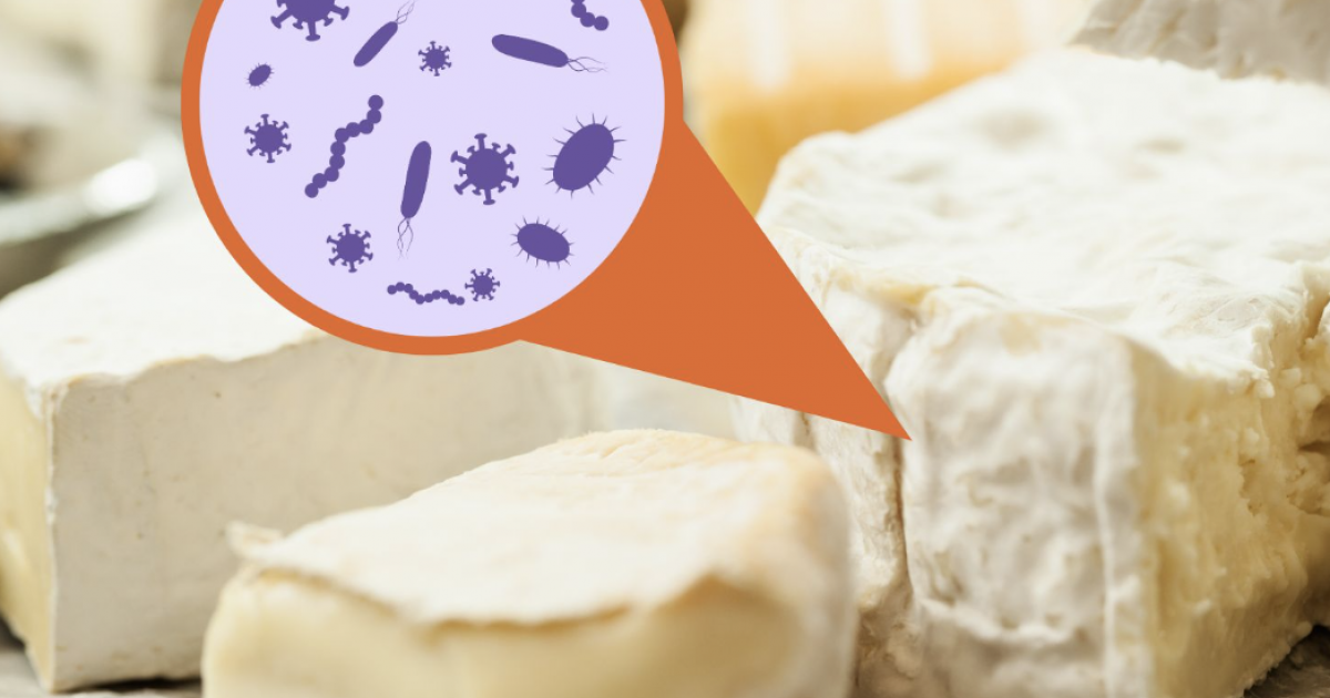 تلوث الجبن ببكتيريا الليستيريا يسبب حالة وفاة