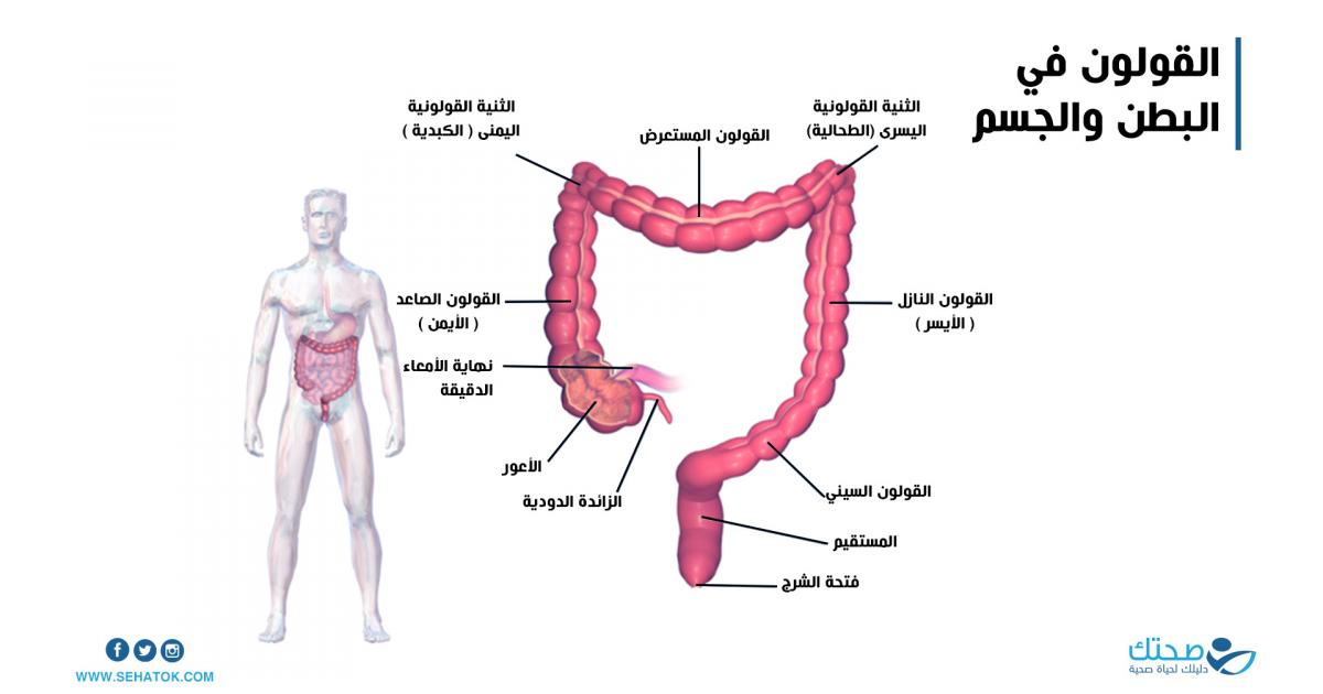 خبراء مايو يحذرون من زيادة خطر السرطانات المعوية بين الشباب