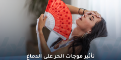 ما مدى تأثير موجات الحر على الدماغ والتركيز؟