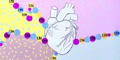 وجد الباحثون 8 إضافات غذائية شائعة مرتبطة بارتفاع ضغط الدم وأمراض القلب