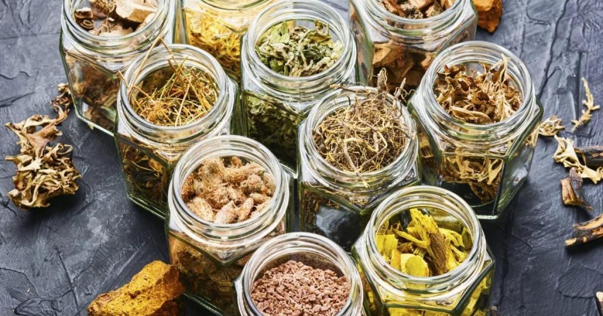 أعشاب لعلاج القولون العصبي وتهدئة الأعراض