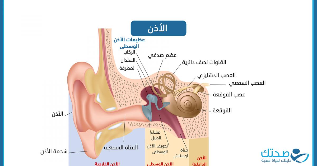 لماذا يحدث تجمع السوائل في الأذن وكيف يمكن التخلص منه؟