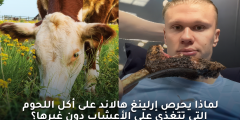 لماذا يعتمد النظام الغذائي لإرلينغ هالاند على اللحوم العشبية؟