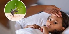 ما هي حمى الضنك وما أعراضها وهل تنتقل العدوى من شخص لآخر؟